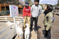 20100408_staff04
