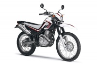 vol106_SEROW250_10