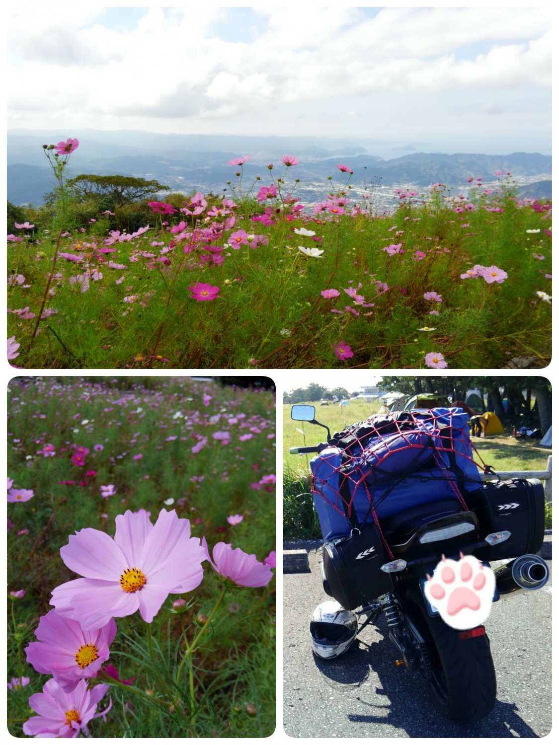酷道抜けたらそこは天国~\(*´▽`*)/♪