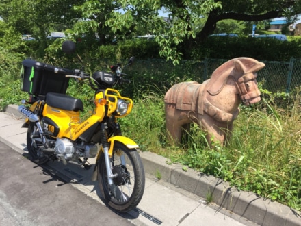 かわいいお馬さん達