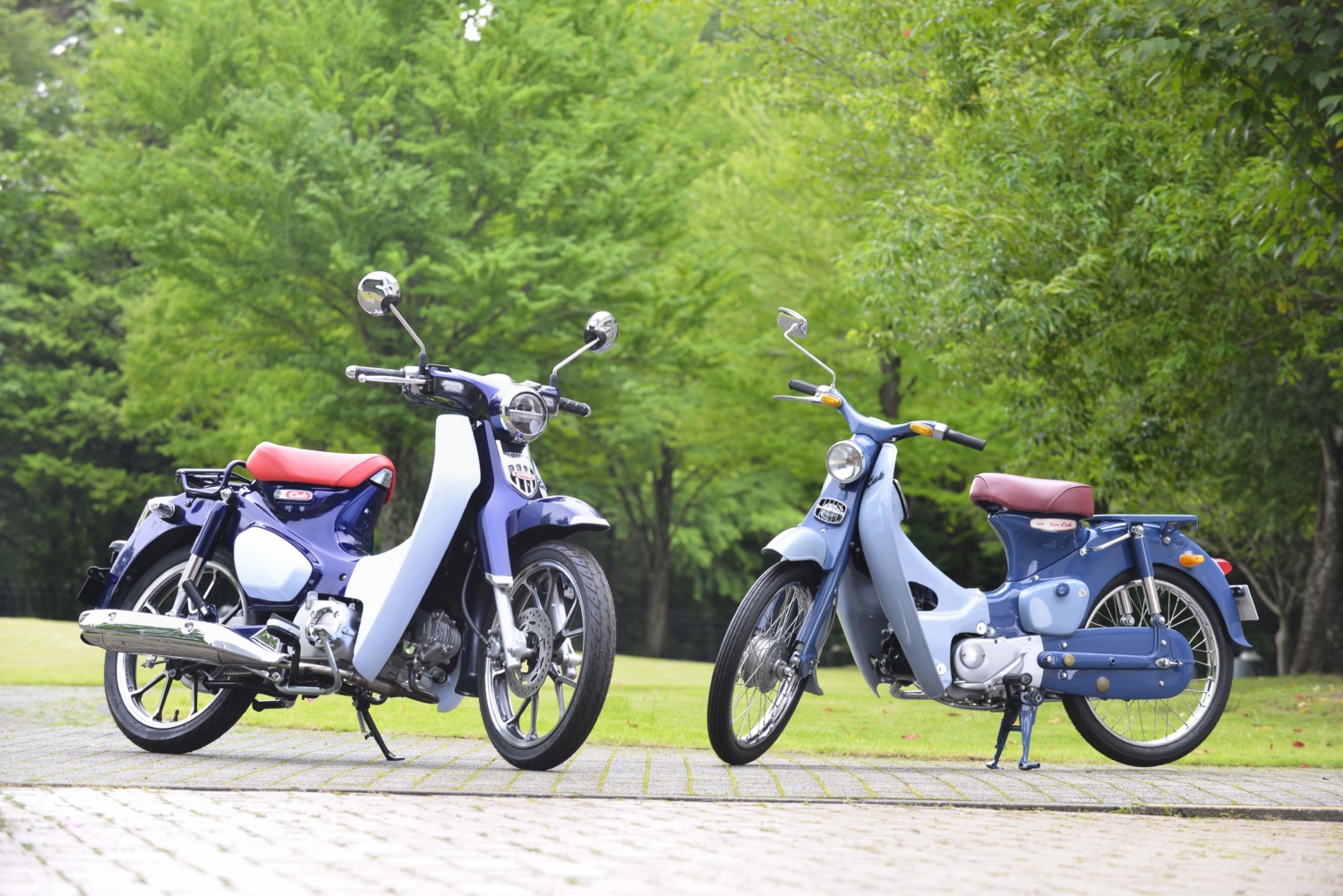 右が新型スーパーカブC125、右がスーパーカブC100