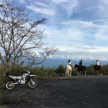 馬と鉄馬