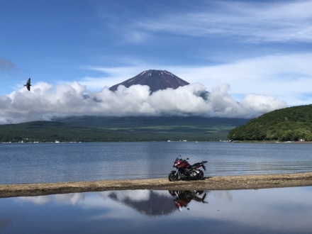 逆さＶＦＲ