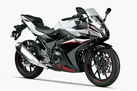 SUZUKI GSX250R(2020年モデル)パールグレッシャーホワイトNo.2/パールネブラーブラック