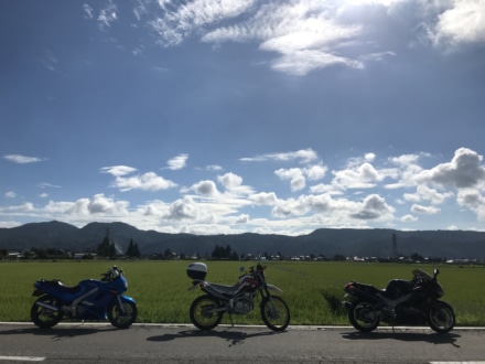 夏休みの思い出