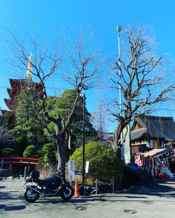 謹賀新年