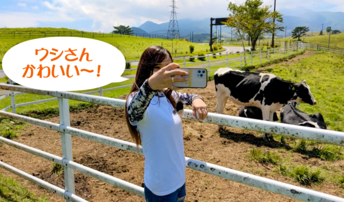 絶景ハンターに挑戦! 大笹牧場の牛と記念撮影をするゆじゅぱん