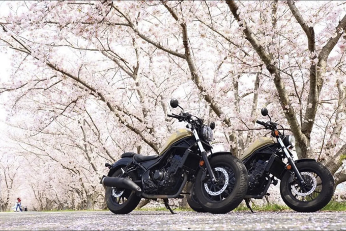Rebel 250(レブル250)で日本中を旅したい。バイク女子が語るツーリングの楽しさ