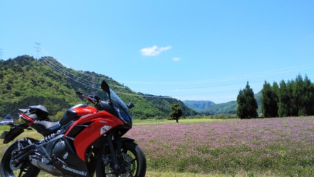 美山の風景