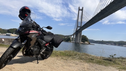 イカよりも橋