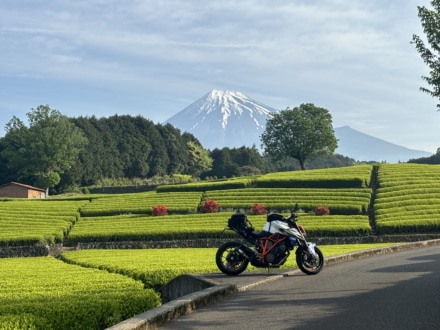 富士山と茶畑