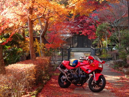紅葉と赤いオートバイ