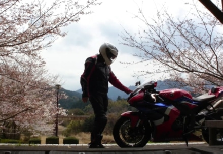 桜とバイク