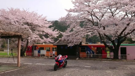 無人駅めぐり　高科駅