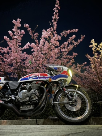🌸夜桜🌸