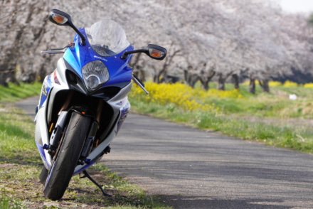 桜と菜の花とR1000