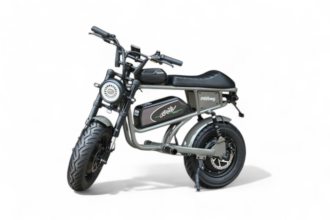 NAPS MOTOFES 2025関東 試乗車 Artsvolt PILLBUG