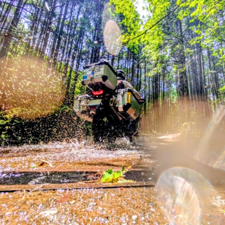 Splash！