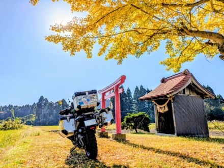 Golden Tree