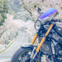 桜並木と。